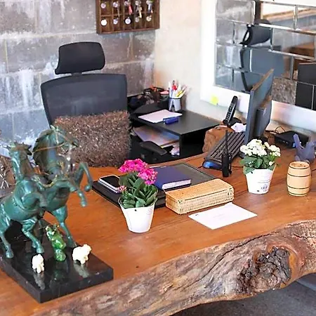 酒店 Mavi At Blue Horse 伊斯坦布尔